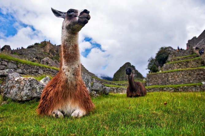 Machu Picchu By Train (2 Days) - Pricing and Terms for the Tour