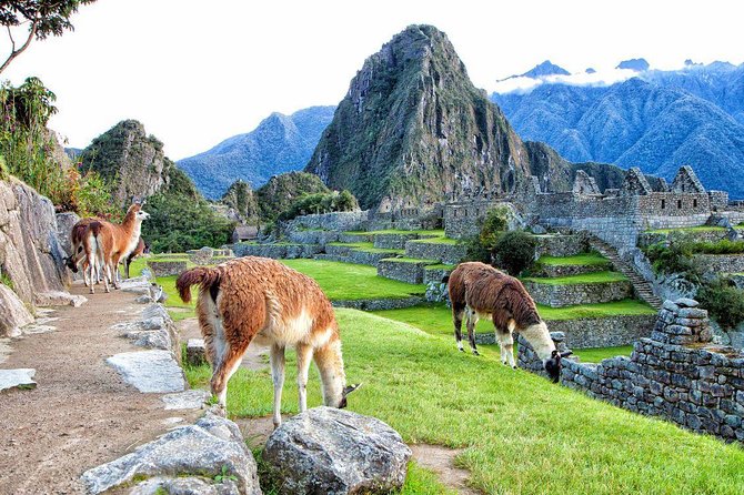 Machu Picchu By Train 2 Days Tour - Accommodation in Aguas Calientes