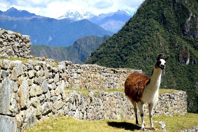 Machu Picchu by Train 3D/2N (Sleep in Cuzco Day 1, Aguas Calientes Day 2) - Cancellation Policy