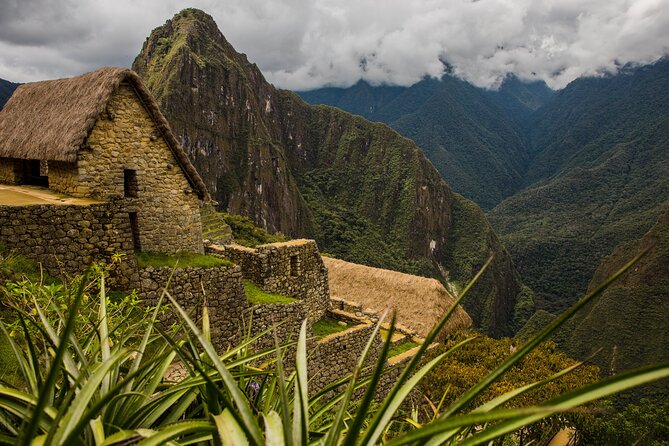 Machu Picchu Day Trip by Train From Cusco - Train Options and Schedules