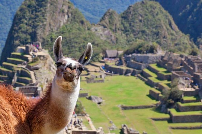 Machu Picchu (Day Trip) - Learn About the Inca Empire at Machu Picchu