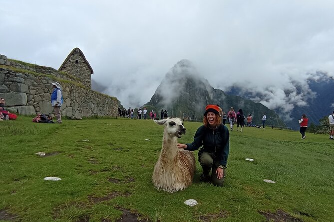 Machu Picchu Day Trip From Cusco By Panoramic Vistadome Train - Meeting and Pickup