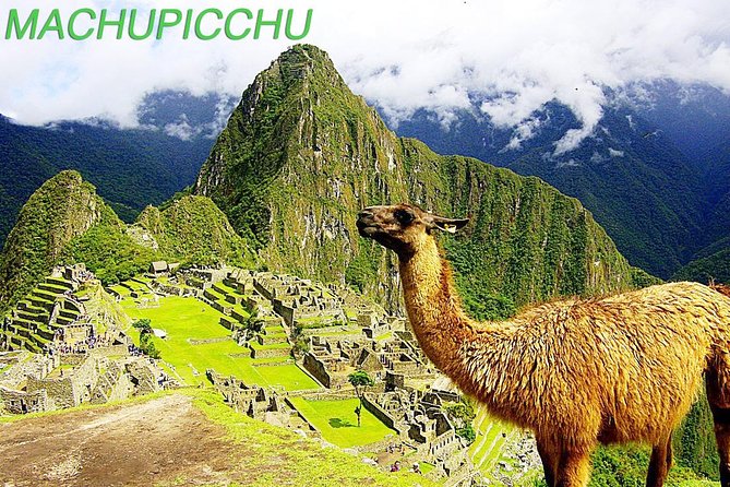 Machu Picchu: Day Trip From Ollantaytambo W/ All Transfers - Cusco - Admission Ticket Included