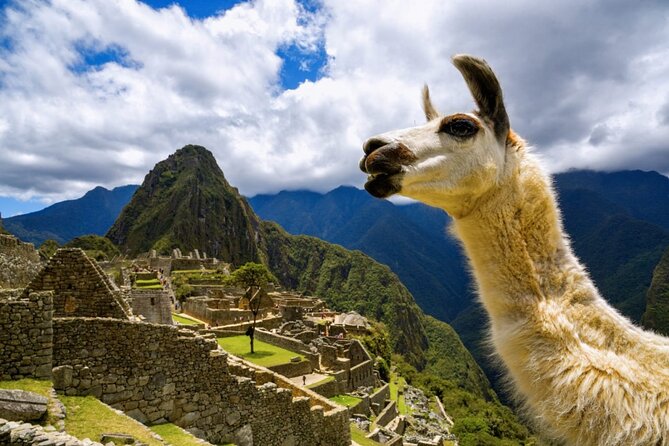 Machu Picchu Full Day by Aludi Travel - Traveler Photos