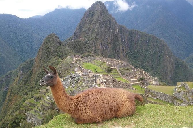 Machu Picchu Full Day - Customer Feedback and Booking