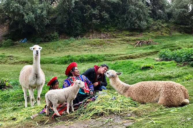 Machu Picchu Full Day From Cusco - Common Questions