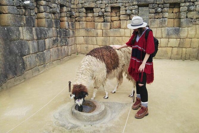 Machu Picchu Full Day - Private Tour - The Sum Up of Machu Picchu Full Day Tour