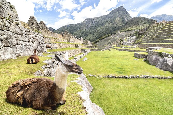Machu Picchu Full Day Tour - Common Questions