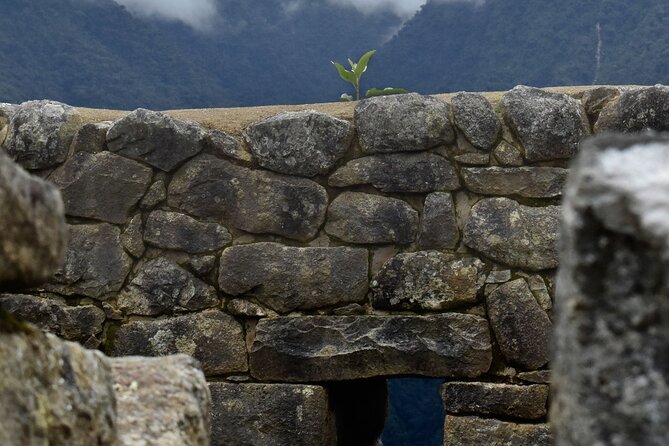 Machu Picchu Full Day Tour by Train Expedition - Important Information for Travelers