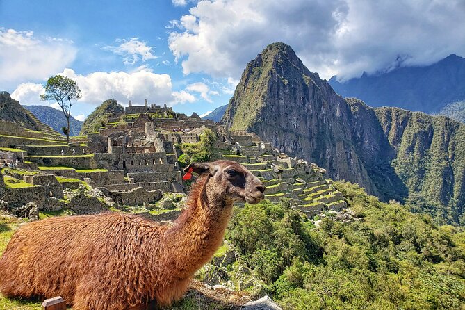 Machu Picchu Private Full Day Tour - Entrance and Guide Details for Machu Picchu Visit