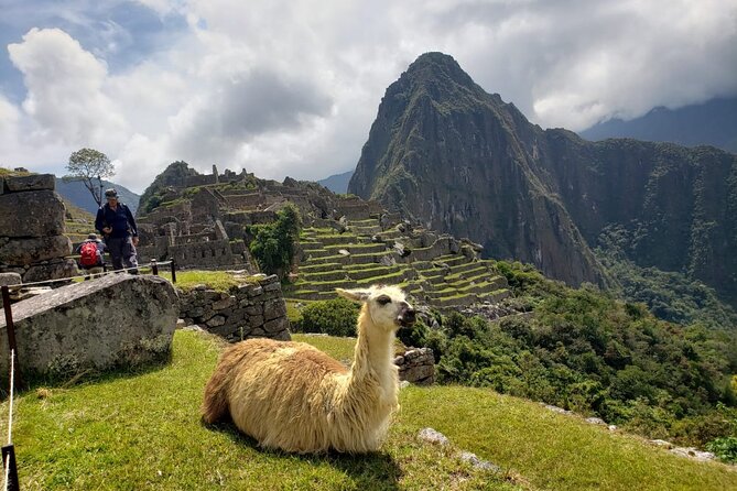 Machu Picchu Private Full Day Tour - Common Questions