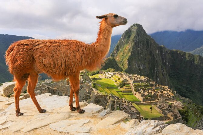 Machu Picchu Small-Group Day Tour From Cusco With Admission - Tour Overview