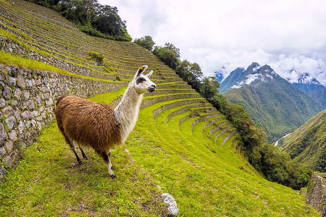 Machu Picchu Tour 01 Day, Departure at 08:00 AM From Cusco - Directions