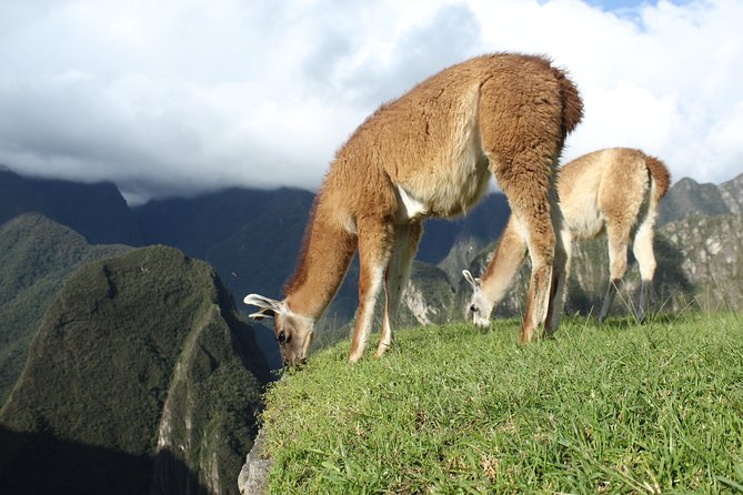 Machu Picchu Tour From Cusco Full Day - Tour Duration and Itinerary