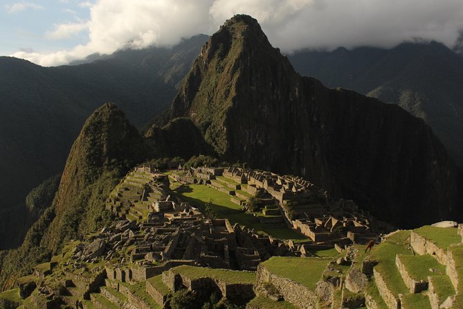 Machu Picchu Tour From Cusco Full Day - Traveler Reviews