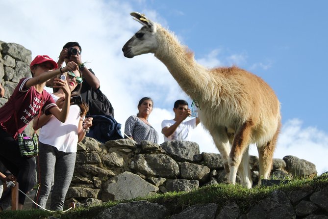 Machu Picchu Tour From Cusco Full Day - Booking and Cancellation Policies