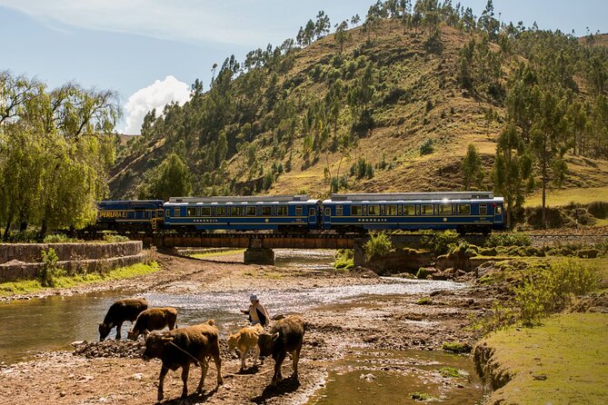 Machu Picchu Tour Full Day by Vistadome Train - Pricing and Cancellation Policy