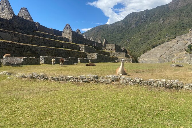 Machu Picchu Tour One Day ( From Cusco) - Cancellation Policy and Refund Options