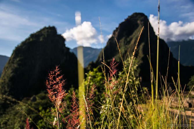 Machu Picchu Trips One Day Tour With Inca Rail Train From Cusco - Mix of Guided and Free Time