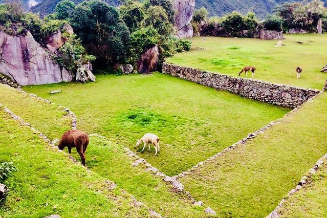 Machu Picchu Wonder of the Modern World - Significance of Machu Picchu