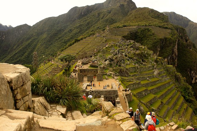Machu Pichu Day Trip From Cusco With Peru Vip - Reviews