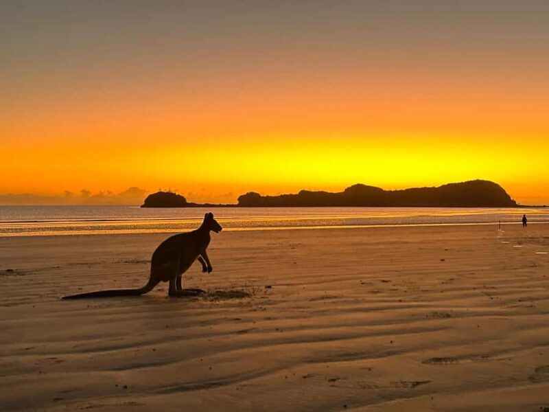 Mackay: 2-Day Adventure Package w/Accomm, Transfers & Tours - Why This Tour Offers Good Value