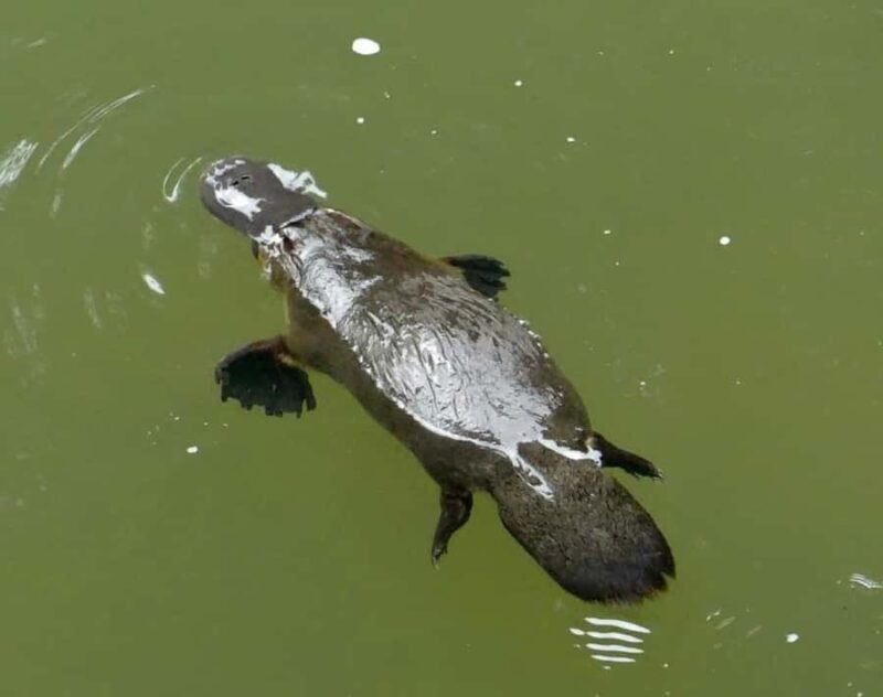 Mackay: 2-Day Adventure Package w/Accomm, Transfers & Tours - Who Will Love This Experience?