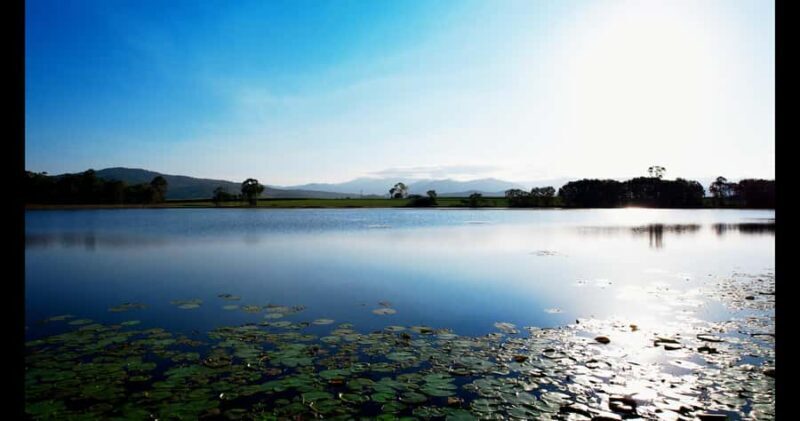 Mackay: 3 Hour Sugarcane Farm Tour - Why This Tour Works Well