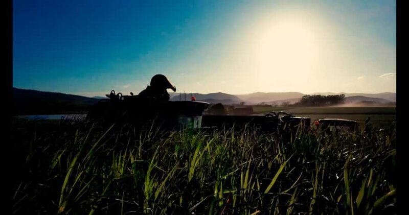 Mackay: 3 Hour Sugarcane Farm Tour - Final Thoughts: Who Will Love This Tour?