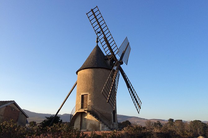 Macon & Beaujolais Wine Tour (9:00 Am to 5:15 Pm) - Small Group Tour From Lyon - Booking and Pricing Details