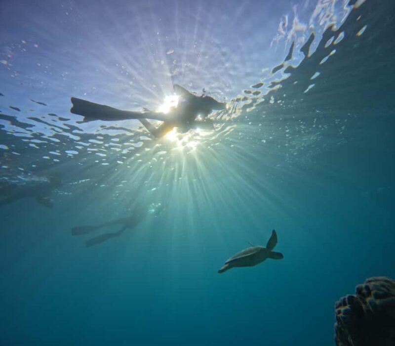 Mactan: Freediving and Island Hopping with lunch - The Itinerary in Detail: What You Can Expect