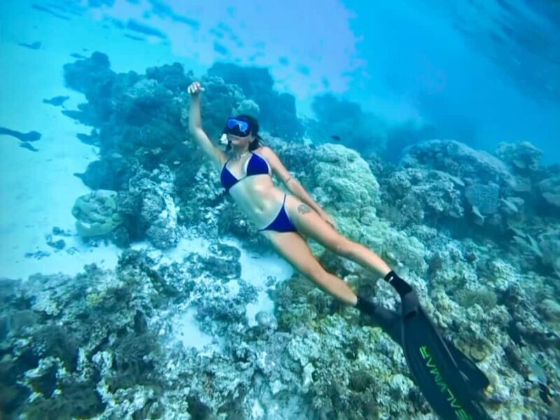 Mactan: Freediving and Island Hopping with lunch - Transportation, Price, and Overall Value