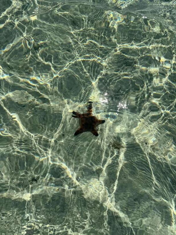 Mactan Island Hopping Gilutungan, Caohagan, Nalusuan + Lunch - Practical Tips for Your Island-Hopping Day