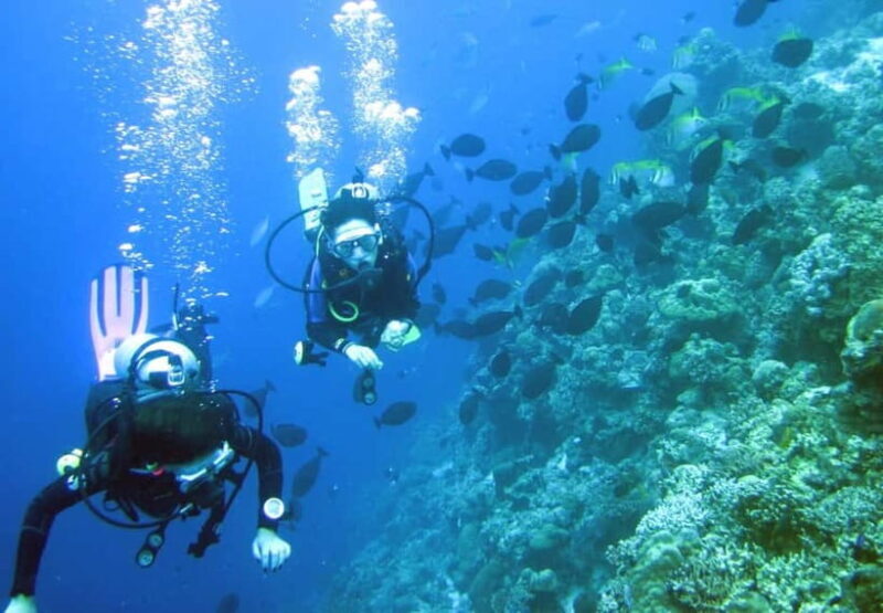 Mactan: PADI Open Water Diver Certification Course - An In-Depth Look at the Course Experience