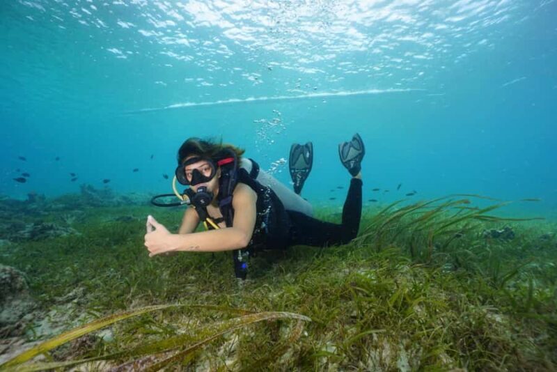 Mactan Sanctuary: Discover Scuba Diving, Island Hop, & Lunch - Good To Know