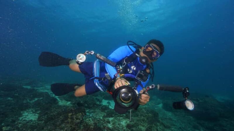 Mactan Sanctuary: Discover Scuba Diving, Island Hop, & Lunch - The Sum Up