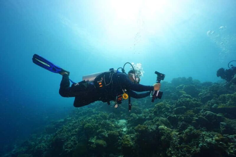 Mactan Sanctuary: Discover Scuba Diving, Island Hop, & Lunch - Who Should Book This Experience?