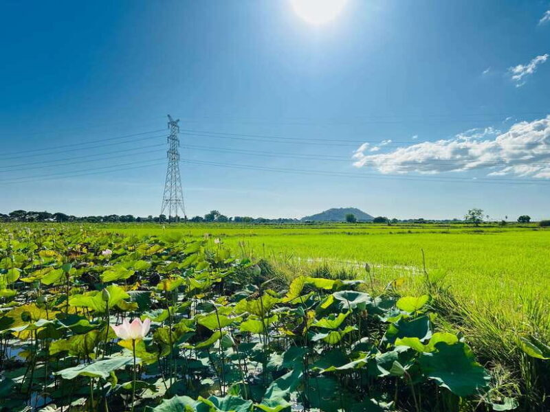 Mad Monkey Siem Reap: Sunset Countryside Cycling Tour - Who Will Love This Tour?