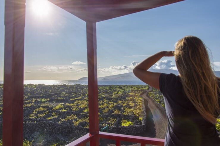 Madalena: UNESCO Heritage Vineyard Trail Hiking Tour - Experience the Scenic Pico Island