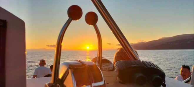 Madeeira: Sunset Dinner Cruise - Highlights