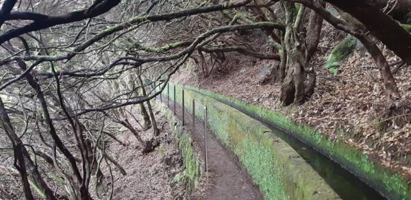 Madeira: 25 Fontes and Risco Levada Hike With Transfers - Hike Duration and Distance
