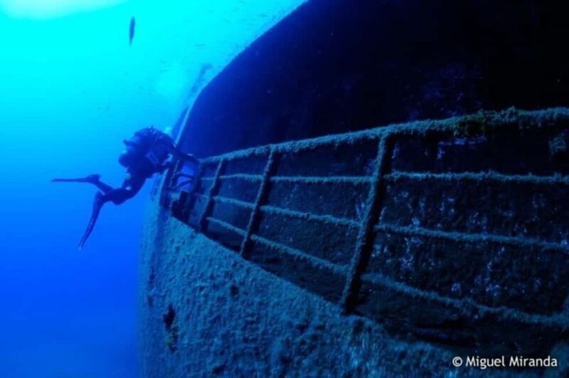 Madeira: 4-hour Scuba Dive from Porto Santo Island - The Sum Up