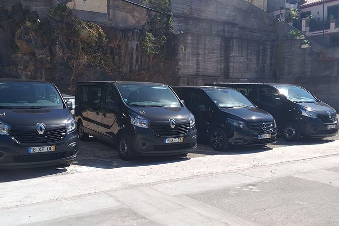 Madeira Airport Transfer for up to 4 People - Participant Eligibility and Wheelchair Accessibility