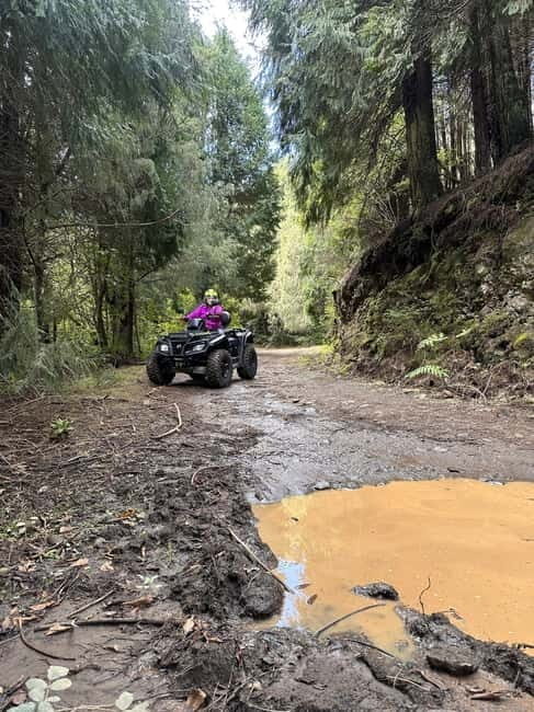 Madeira: ATV or QUAD off-road private adventure - Good To Know