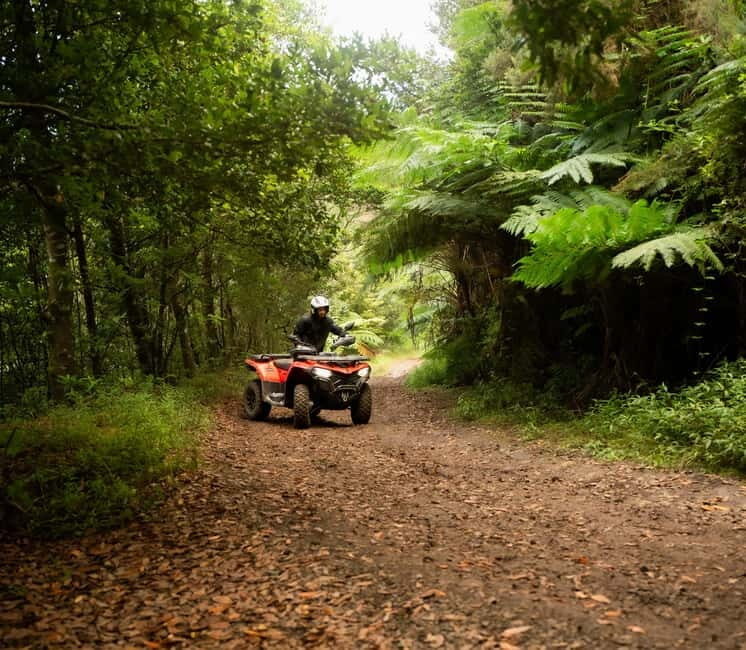 Madeira: Aventura Off-Road de ATV ou Quad - Adrenalina - An In-Depth Look at the Experience