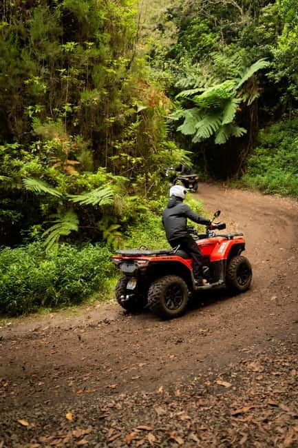 Madeira: Aventura Off-Road de ATV ou Quad - Adrenalina - Scenic Highlights