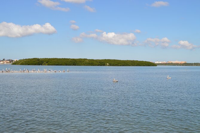 Madeira Beach and Shell Key Preserve Half Day Private Boat Tour - Booking and Pricing Information