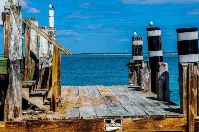 Madeira Beach: Egmont Key Snorkeling and Dolphin Cruise - Practical Details and Considerations