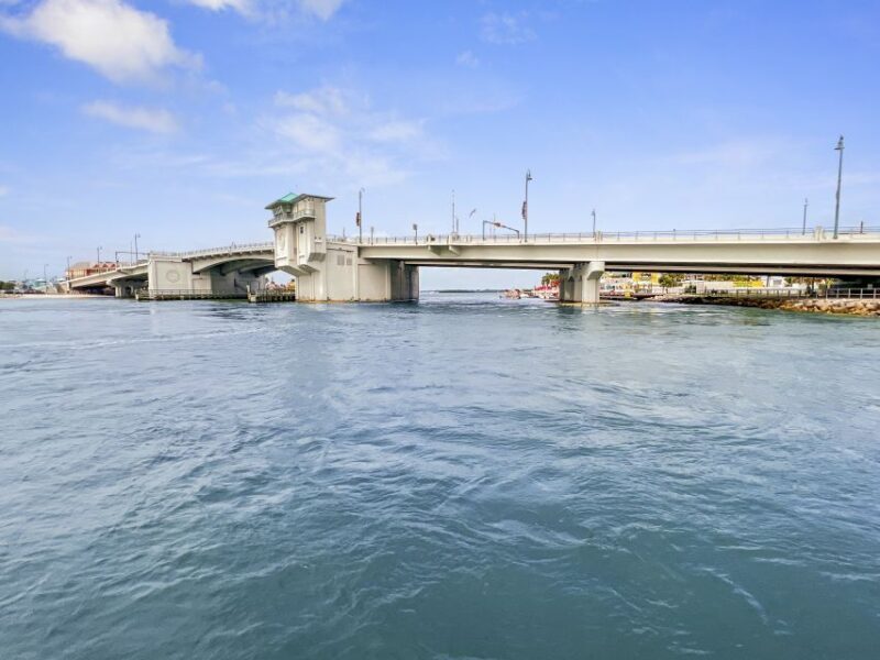 Madeira Beach: Guided Dolphin Watching Eco-Friendly Cruise - Good To Know