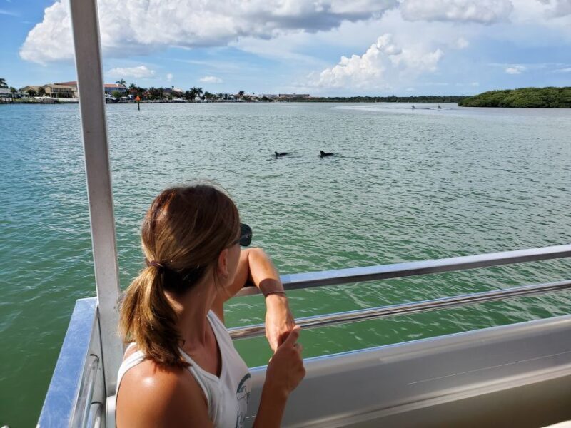 Madeira Beach: Guided Dolphin Watching Eco-Friendly Cruise - Who Is This Tour Best For?